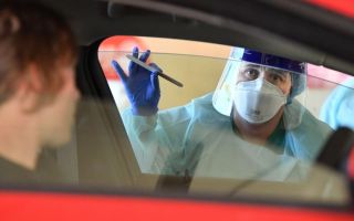 qld no cases tests
