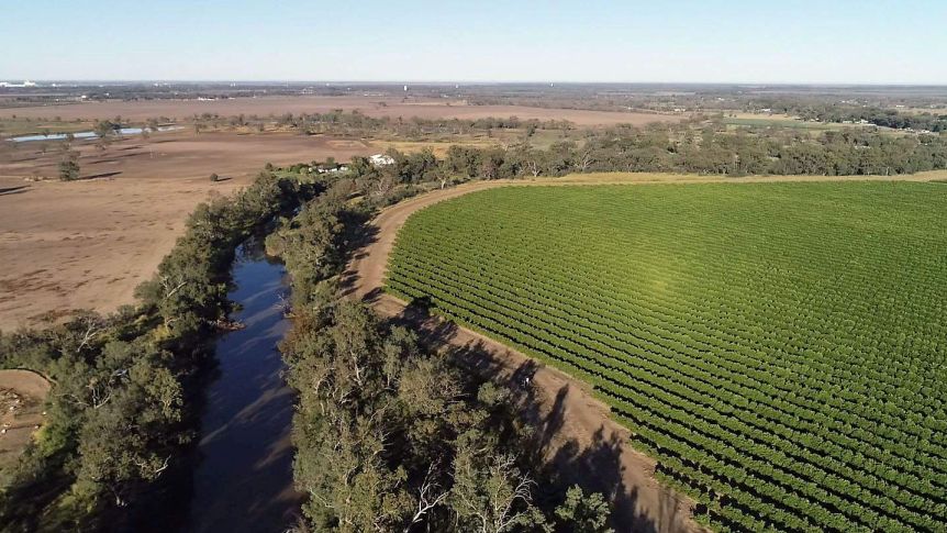 murray darling authority overhaul