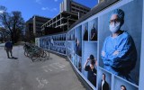 victoria virus cases
