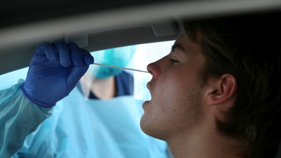 victoria virus test workplace