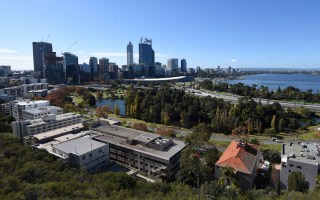 wa covid cases