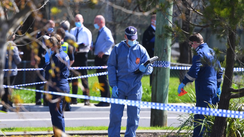 police shooting lilydale