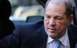 harvey weinstein