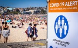 nsw community virus