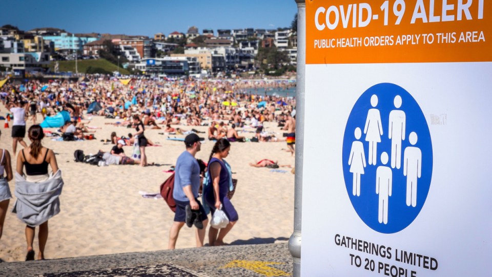 nsw community virus