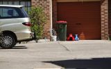 toddler die sydney driveway