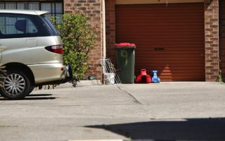 toddler die sydney driveway