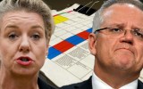 Coalition sports rorts