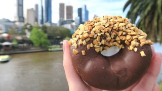 victoria virus doughnuts