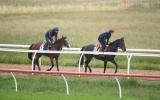 melbourne cup