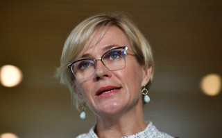 zali steggall