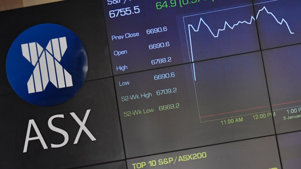 asx data issues halt