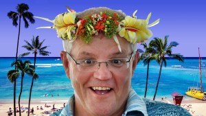 scott Morrison