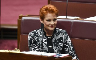 pauline hanson covid