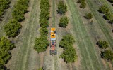 chemicals food chains