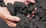 coal australia