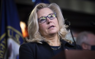 donald trump liz cheney