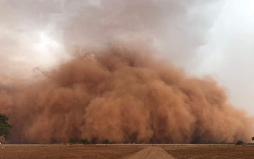nsw dust storm