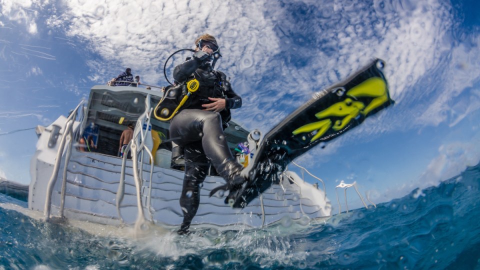 tourism jobs queensland