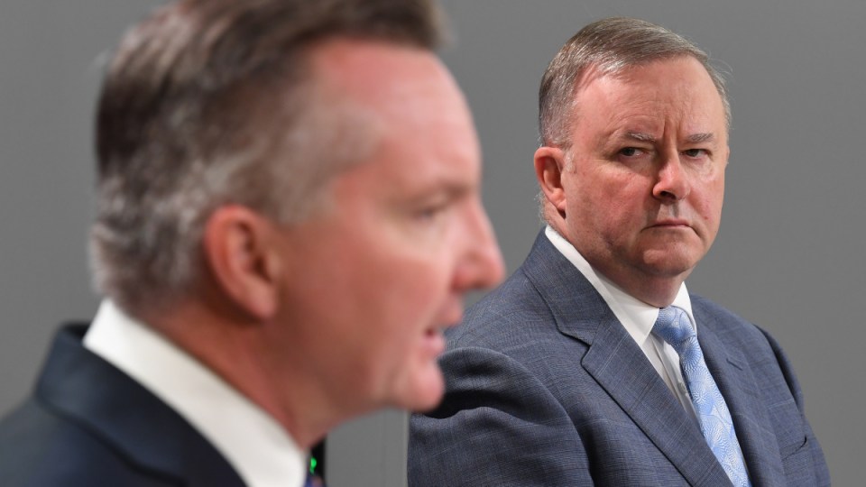 kurri kurri labor