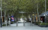 Perth virus