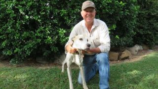man lost dog found