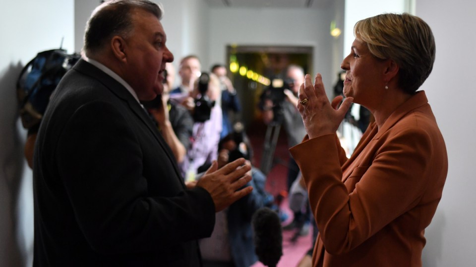 craig kelly tanya plibersek