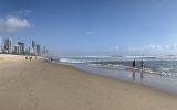 gold coast bodies