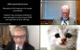 zoom court hearing cat lawyer