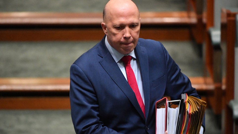 peter dutton grants