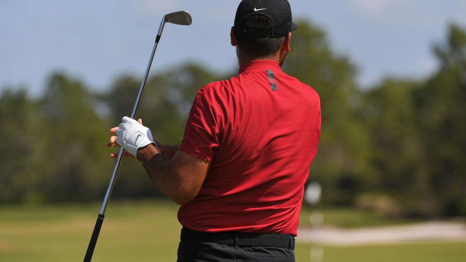 tiger woods red black