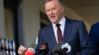 anthony albanese wage theft