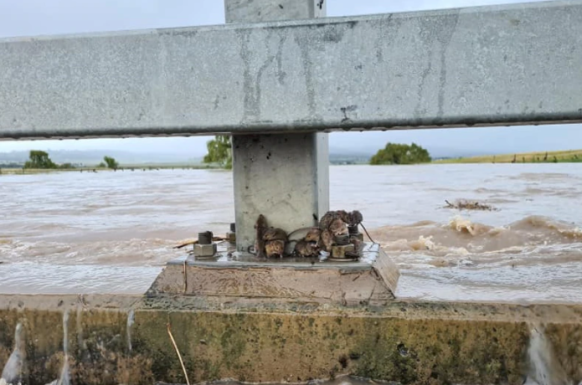 floods beaudesert