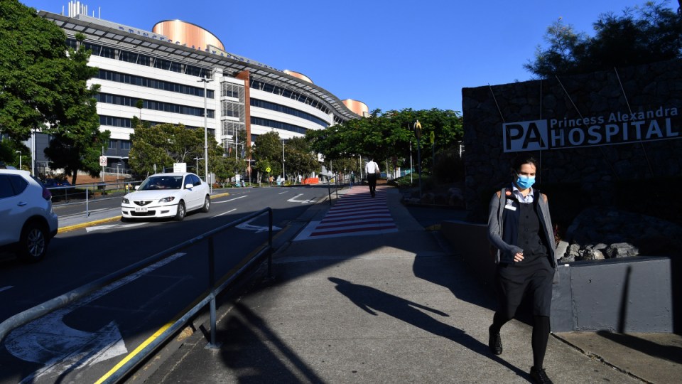 queensland pandemic toll