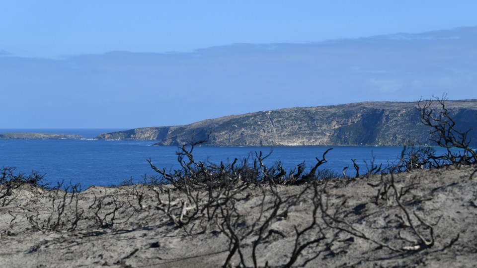south-australia-bushfires