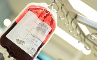blood donors festive season