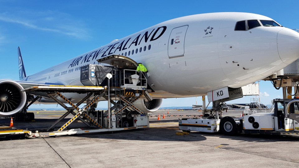 auckland airport