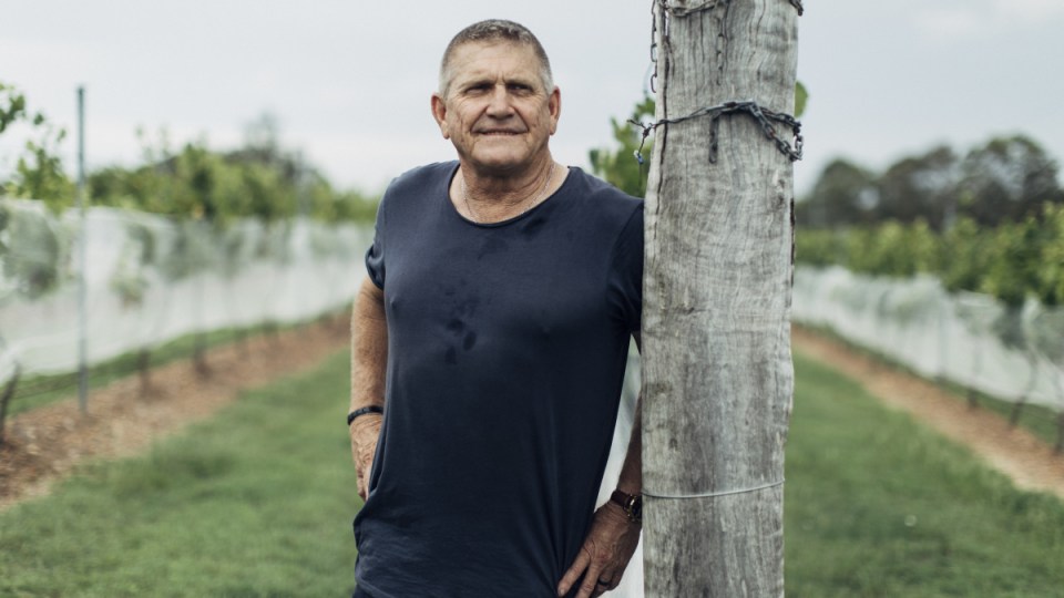 Winemaker Mike Hayes