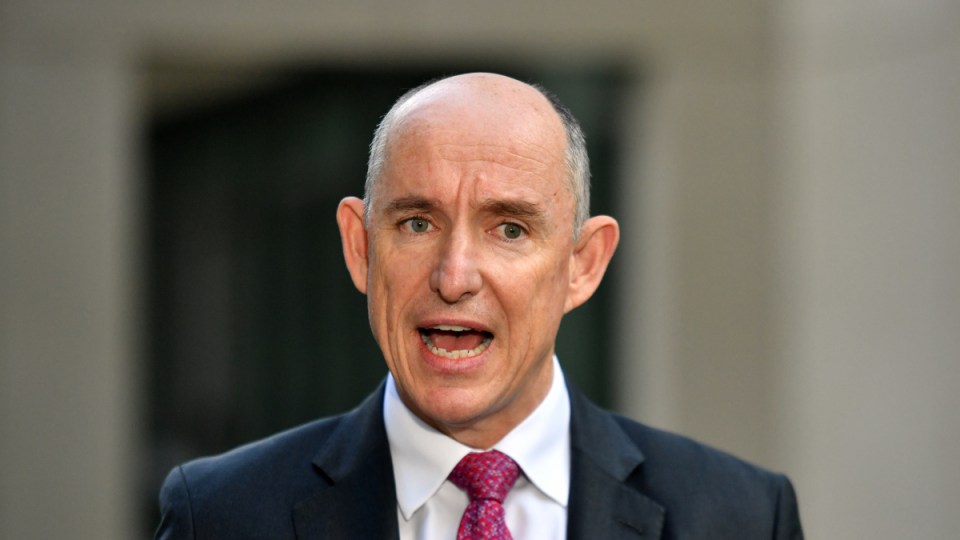 stuart robert robodebt