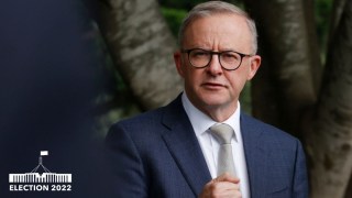 Mr Albanese's political style has changed.
