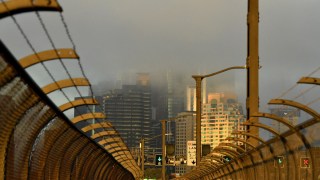 sydney fog smoke