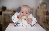 Babies protein obesity