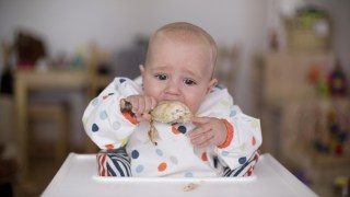 Babies protein obesity