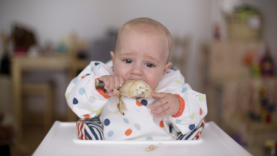 Babies protein obesity
