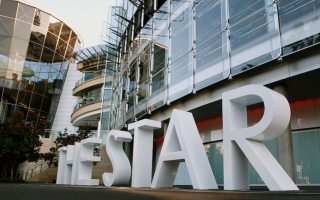 star-casino