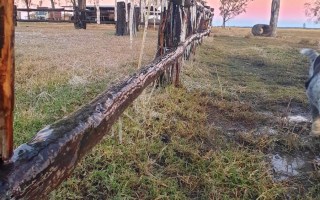 queensland-frost