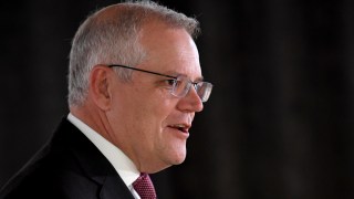 scott morrison parliament