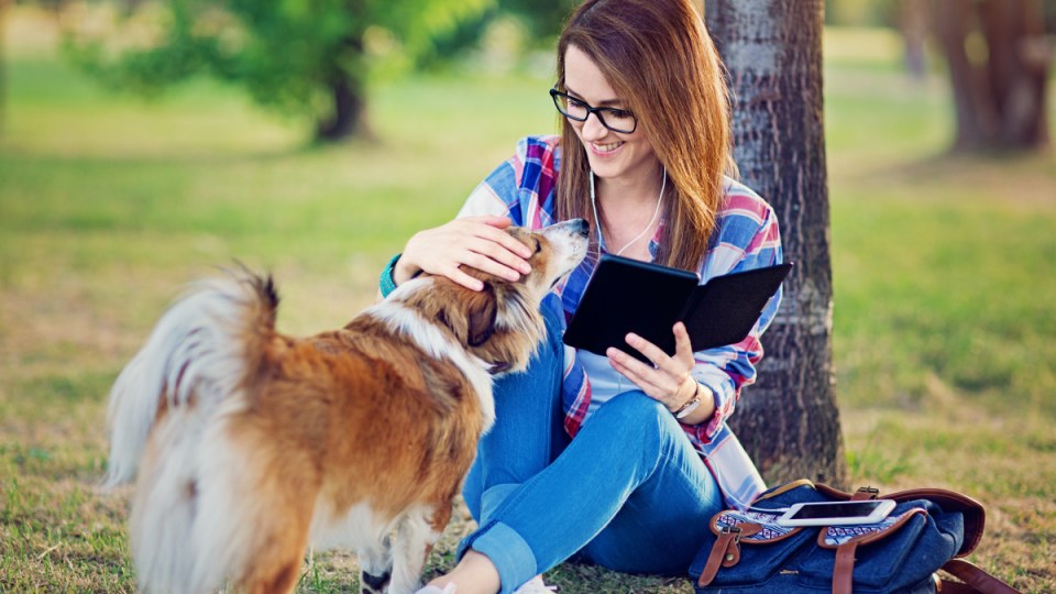 Feeling stressed in studies? Pat a dog.