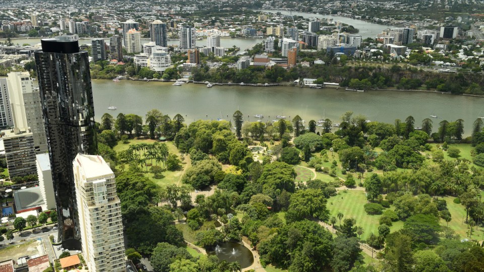 gold coast covid