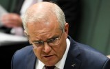 scott morrison qanon